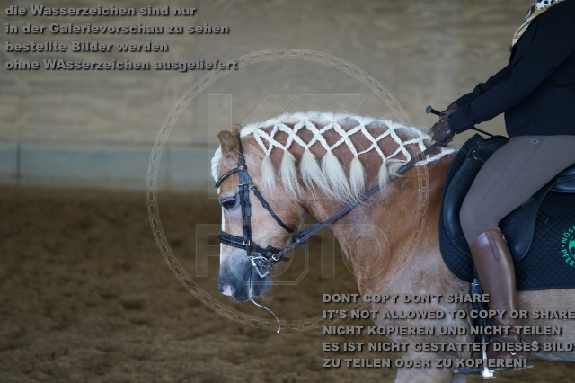 s_K3F03498.JPG